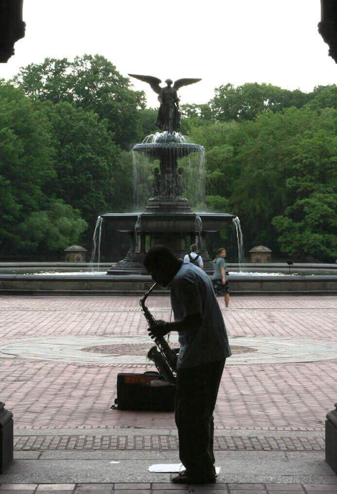 fotografie portfolio tips-musicus in Central Park New York